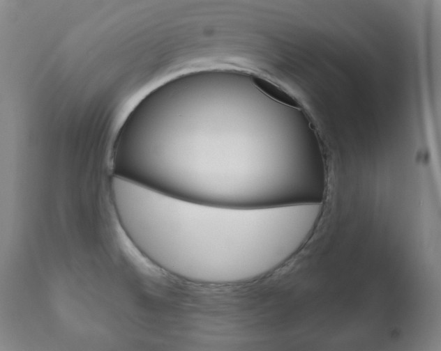 X0000110861524200906180933