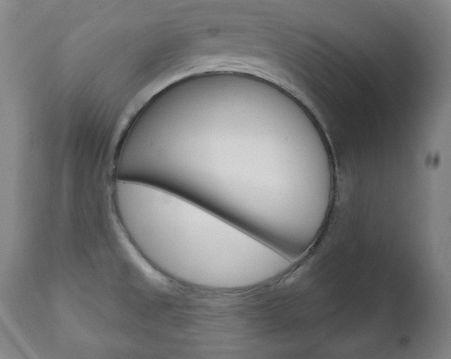 X0000110861525200906180933