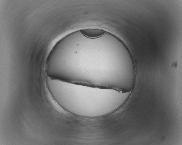X0000110861526200906180933