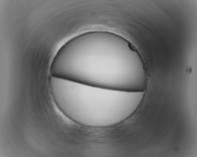 X0000110861527200906180933