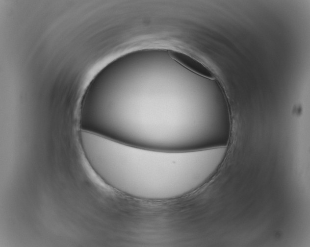X0000110861528200906180933