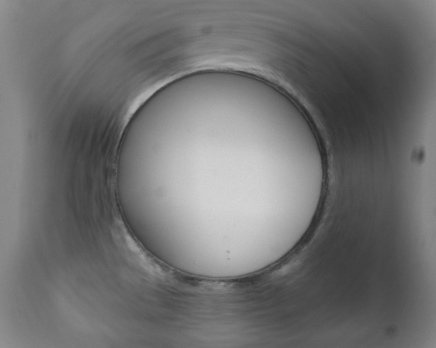X0000110861529200906180933