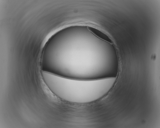 X0000110861530200906180933
