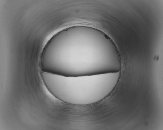 X0000110861531200906180933