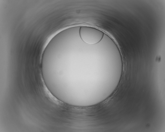 X0000110861532200906180933