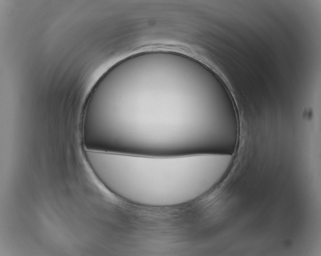 X0000110861533200906180933