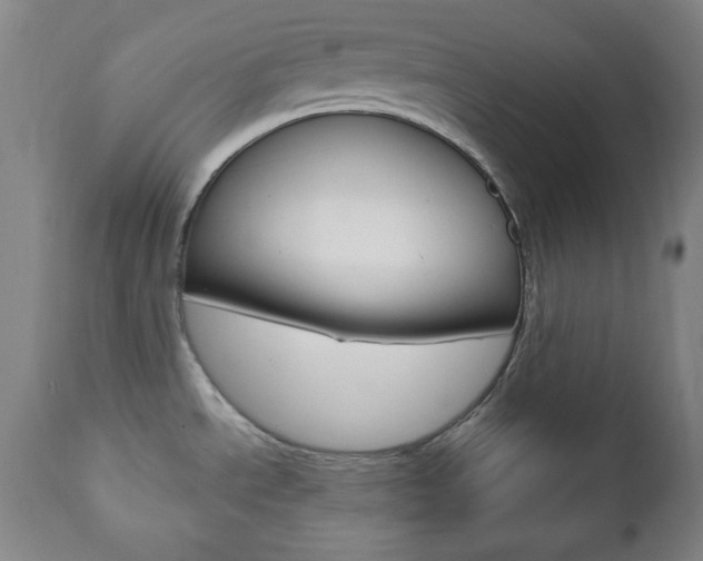 X0000110861534200906180933