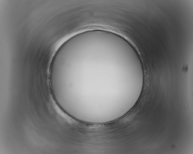 X0000110861535200906180933