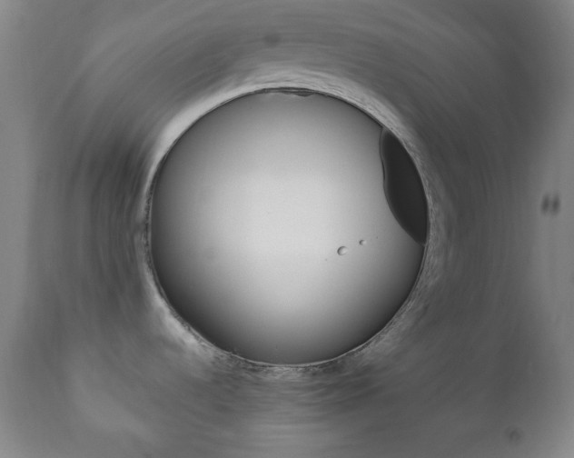 X0000110861536200906180933