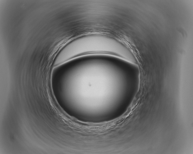 X0000110860001200906181151