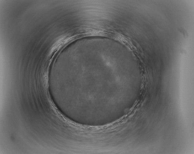 X0000110860002200906181151