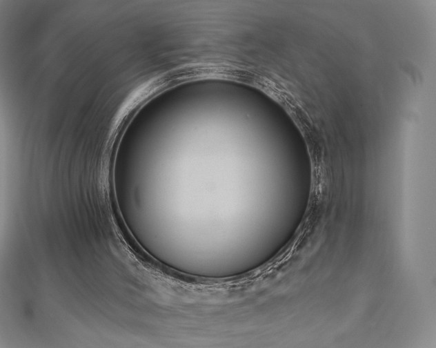 X0000110860004200906181151