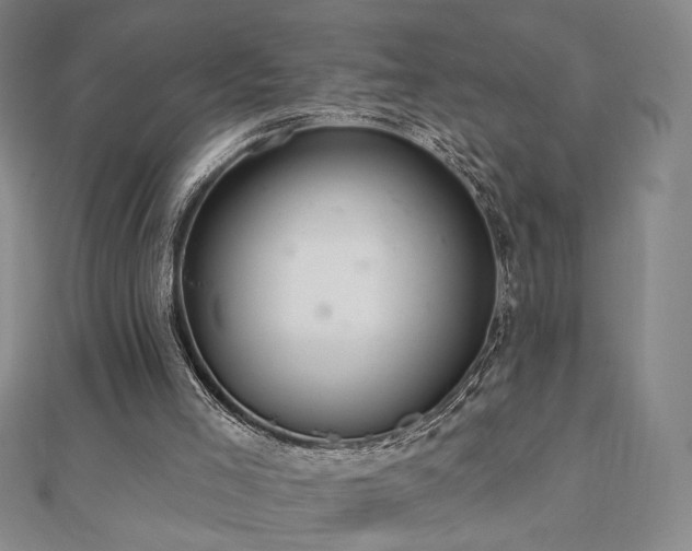 X0000110860005200906181151