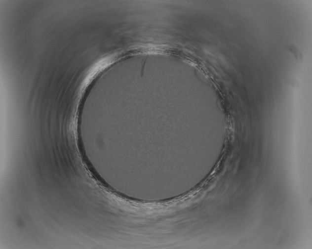 X0000110860006200906181151