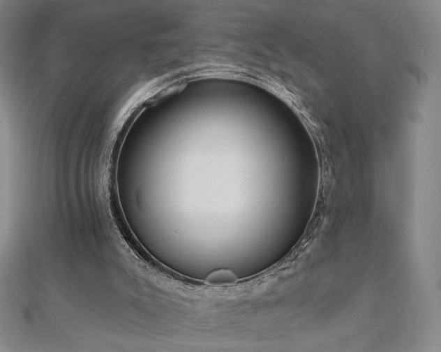 X0000110860007200906181151