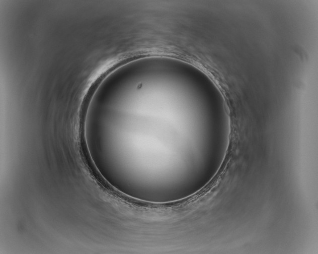 X0000110860008200906181151