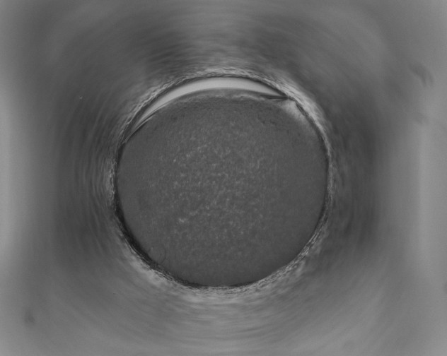 X0000110860009200906181151