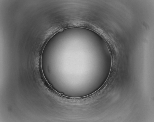 X0000110860010200906181151