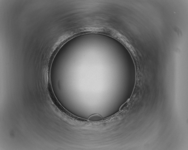 X0000110860011200906181151