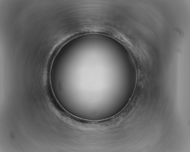 X0000110860012200906181151