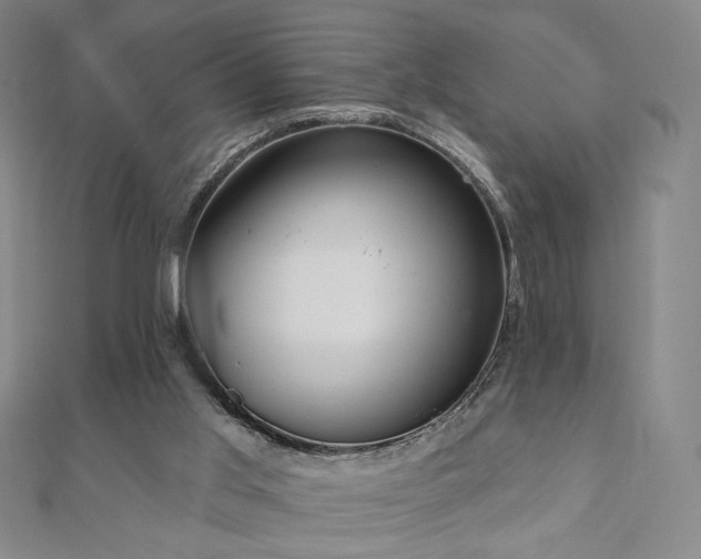 X0000110860013200906181151