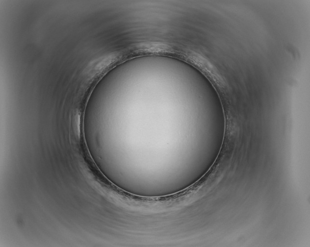 X0000110860014200906181151