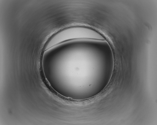 X0000110860015200906181151