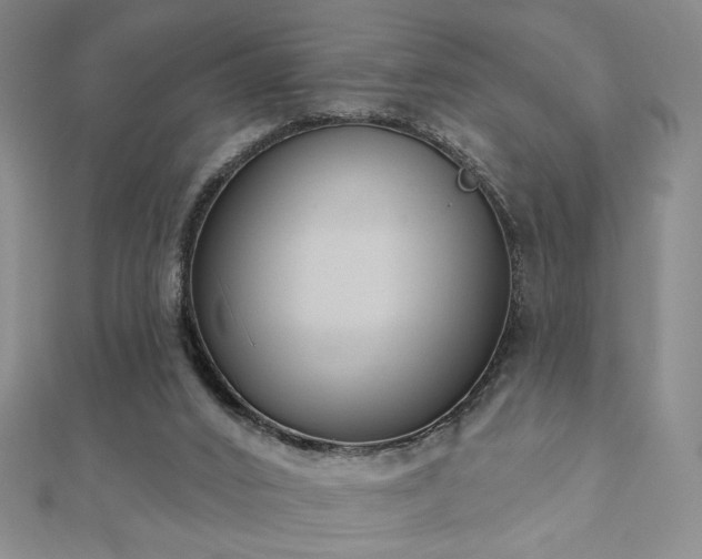 X0000110860016200906181151