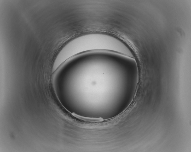 X0000110860017200906181151