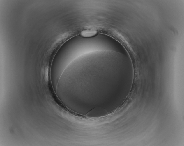 X0000110860019200906181151