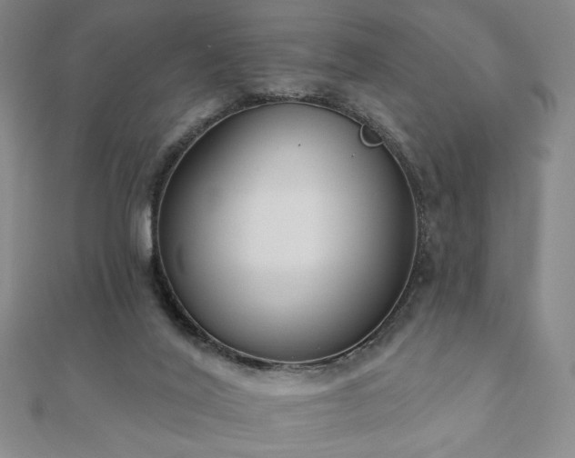 X0000110860020200906181151