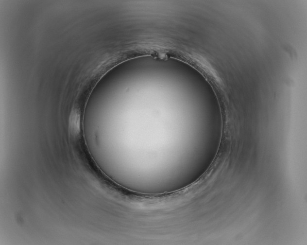 X0000110860021200906181151