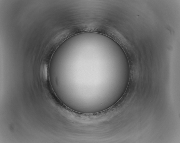 X0000110860022200906181151