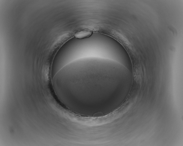 X0000110860023200906181151