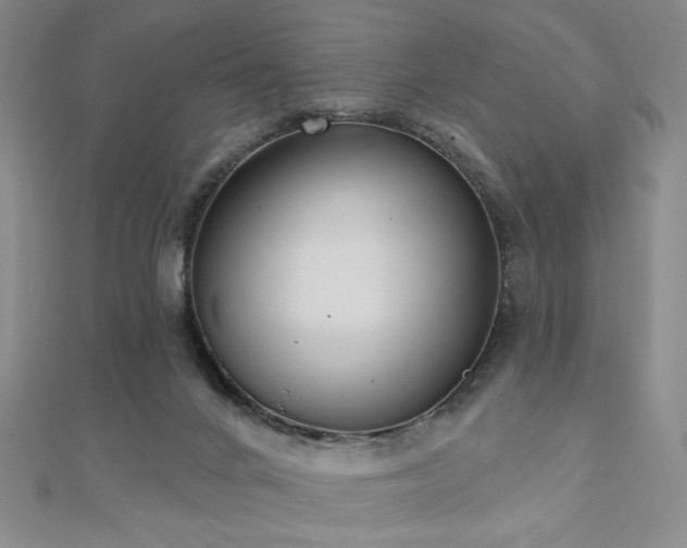 X0000110860024200906181151