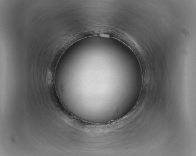 X0000110860025200906181150