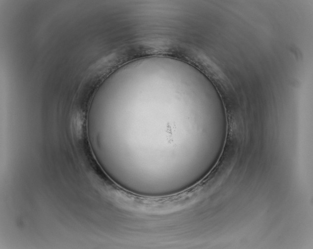 X0000110860026200906181150