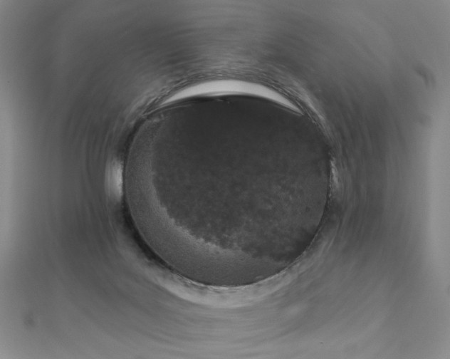 X0000110860027200906181150