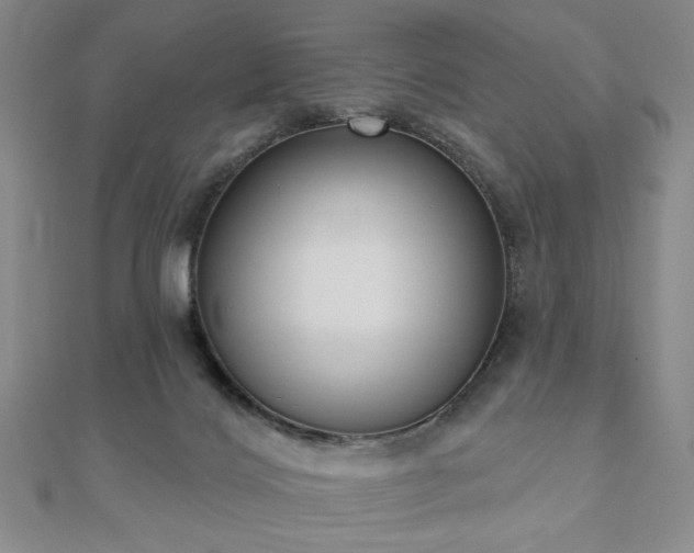 X0000110860028200906181150