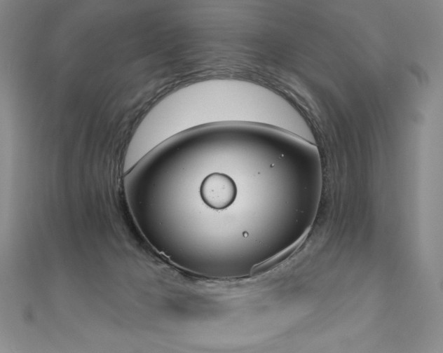 X0000110860029200906181150