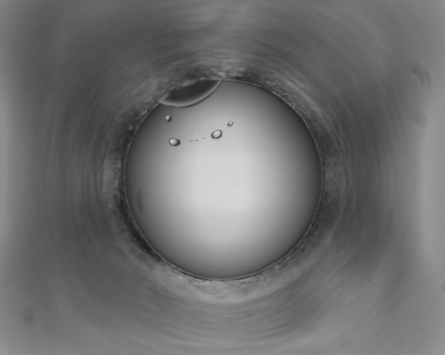 X0000110860030200906181150