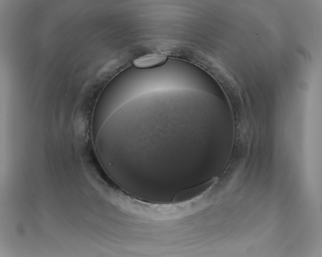 X0000110860031200906181150