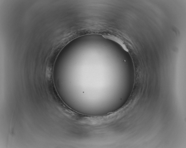 X0000110860033200906181150