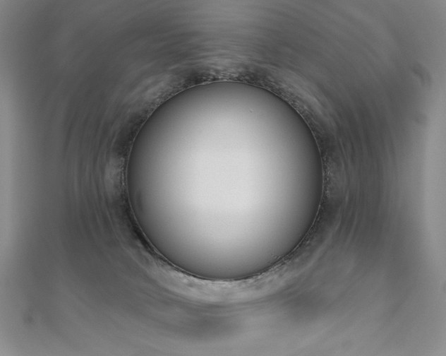 X0000110860034200906181150