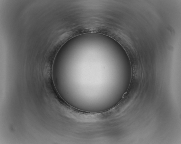 X0000110860036200906181150