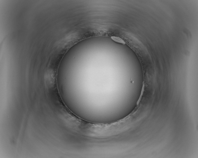 X0000110860037200906181150