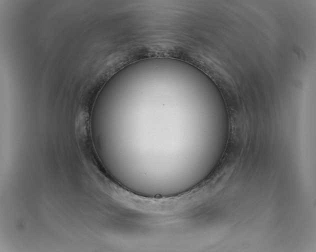 X0000110860038200906181150