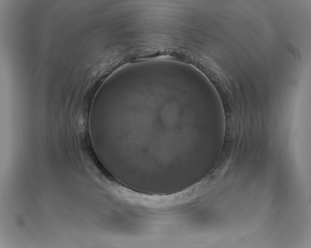 X0000110860039200906181150