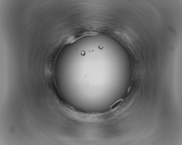 X0000110860040200906181150