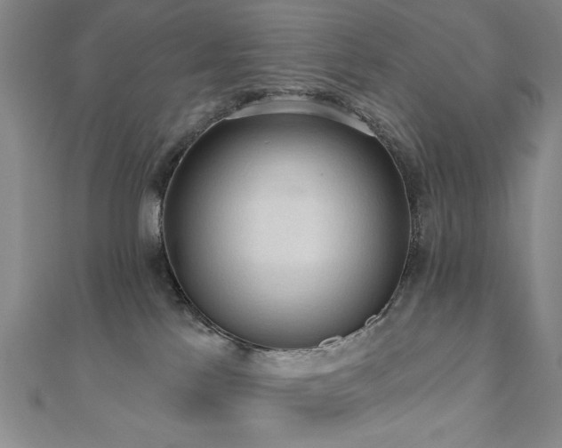 X0000110860041200906181150